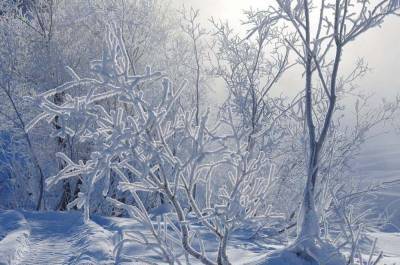 Елена Сорокина - Рязанским коммунальщикам поручили подготовиться к морозам и снегопаду - 7info.ru - Рязань