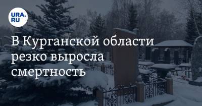 В Курганской области резко выросла смертность - ura.news - Курганская обл.