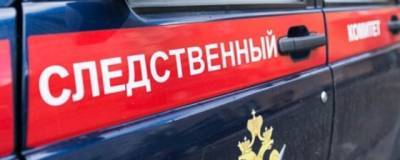 В Воронеже СКР проверит факт нападения бродячих собак на девочку - runews24.ru - Воронеж