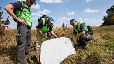 Евгений Енин - Украинский - Украинский политик дал прогноз по завершению дела MH17 в ООН - riafan.ru - Киев - Голландия