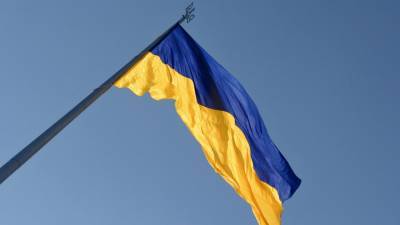 Совет Европы пообещал защитить нацменьшинства на Украине - riafan.ru