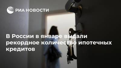 Дмитрий Песков - Михаил Гольдберг - В России в январе выдали рекордное количество ипотечных кредитов - ria.ru - Москва - Россия