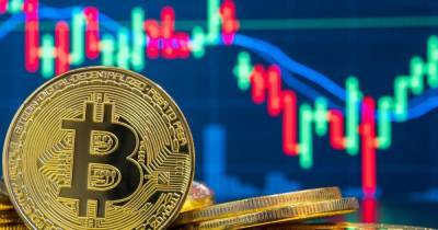 Илона Маску - Bitcoin - Бешеная гонка: Bitcoin побил четыре исторических максимума и достиг $48 тыс. - focus.ua - США - Англия