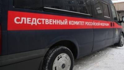 Красноярские следователи задержали подозреваемого в убийстве ветерана труда - polit.info - Красноярский край - Красноярск