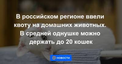 В российском регионе ввели квоту на домашних животных. В средней однушке можно держать до 20 кошек - news.mail.ru - Кировская обл.