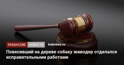 Повесивший на дереве собаку живодер отделался исправительными работами - kubnews.ru - Краснодар
