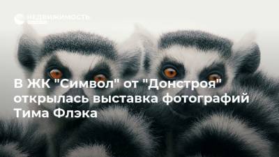 В ЖК "Символ" от "Донстроя" открылась выставка фотографий Тима Флэка - realty.ria.ru - Москва - Англия