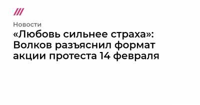 «Любовь сильнее страха»: Волков разъяснил формат акции протеста 14 февраля - tvrain.ru