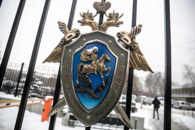 Алексей Навальный - В Ленобласти задержан студент, подозреваемый в том, что бросил коктейль Молотова в мэрию - znak.com - Ленинградская обл. - район Кингисеппский