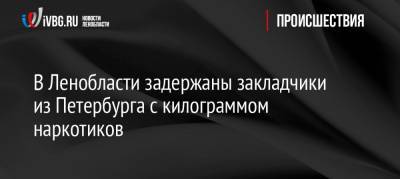 В Ленобласти задержаны закладчики из Петербурга с килограммом наркотиков - ivbg.ru - Ленинградская обл. - Санкт-Петербург