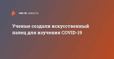 Ученые создали искусственный палец для изучения COVID-19 - ren.tv