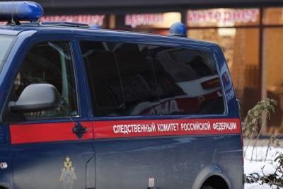 В Тыве пенсионерка заказала убийство восьмилетней девочки - znak.com - респ.Тыва - Кызыл