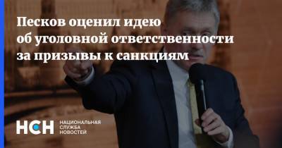 Дмитрий Песков - Вячеслав Володин - Песков оценил идею об уголовной ответственности за призывы к санкциям - nsn.fm - США