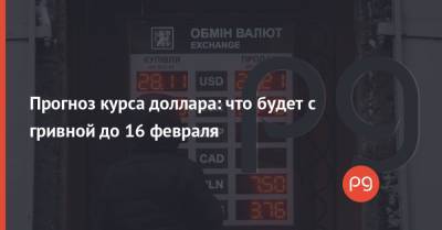 Прогноз курса доллара: что будет с гривной до 16 февраля - thepage.ua
