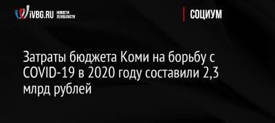 Борис Александров - Затраты бюджета Коми на борьбу с COVID-19 в 2020 году составили 2,3 млрд рублей - ivbg.ru - Россия - респ. Коми