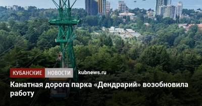 Канатная дорога парка «Дендрарий» возобновила работу - kubnews.ru - Сочи