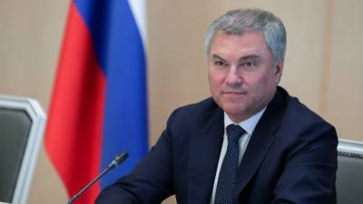 Владимир Путин - Алексей Навальный - Вячеслав Володин - В Думе хотят наказывать тех, кто предлагает ввести санкции - svoboda.org - США