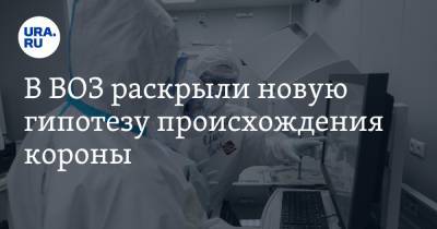 В ВОЗ раскрыли новую гипотезу происхождения короны - ura.news - Ухань