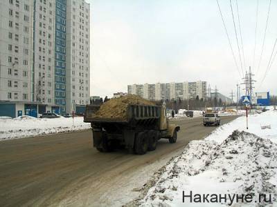 Олег Попенко - В Нижневартовске спасли ель – пересадили её в другой микрорайон - nakanune.ru - Нижневартовск