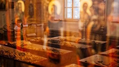 Останки воинов 1812 года перезахоронят в Вязьме - ru.euronews.com - Россия - Смоленская обл. - Германия - Франция - Швеция