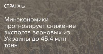 Минэкономики прогнозирует снижение экспорта зерновых из Украины до 45,4 млн тонн - strana.ua
