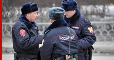 Росгвардейцы задержали пьяного водителя, сбившего двух пешеходов в Москве - profile.ru - Москва