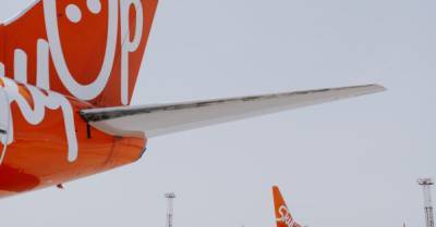 SkyUp в 2020 году сократила перевозки на четверть - delo.ua - Украина