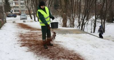 Краков и Варшава по примеру Львова начали бороться с гололедом с помощью кофейной гущи - dsnews.ua - Польша - Варшава