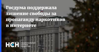 Вячеслав Володин - Госдума поддержала лишение свободы за пропаганду наркотиков в интернете - nsn.fm