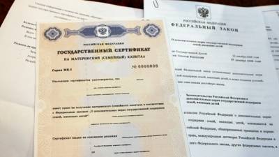 Михаил Беляев - Эксперт оценил идею разрешить инвестировать маткапитал в ценные бумаги - russian.rt.com