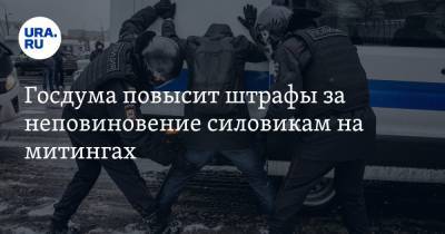 Госдума повысит штрафы за неповиновение силовикам на митингах - ura.news