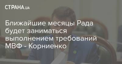 Ближайшие месяцы Рада будет заниматься выполнением требований МВФ - Корниенко - strana.ua