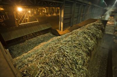 Louis Dreyfus продает бразильцам бизнес по производству сахара и этанола - agroportal.ua - Бразилия
