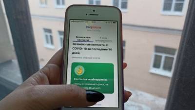 Владимир Путин - Дмитрий Чернышенко - Около 170 сервисов будет добавлено на портал "Госуслуги" в 2021 году - nation-news.ru