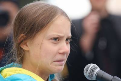 Грета Тунберг может попасть под статью - newsland.com - Швеция