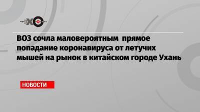 ВОЗ сочла маловероятным прямое попадание коронавируса от летучих мышей на рынок в китайском городе Ухань - echo.msk.ru - Вашингтон - Ухань