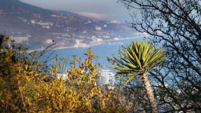 В Ялте начнут строить новый микрорайон - crimea.ria.ru - Крым - Симферополь