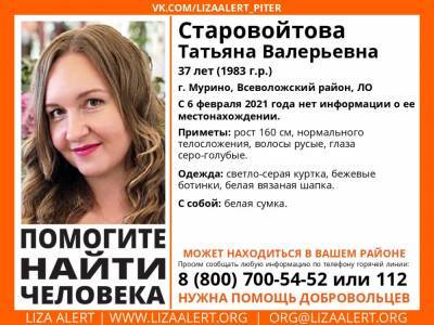 В Мурино без вести пропала 37-летняя женщина - ivbg.ru - Ленобласть