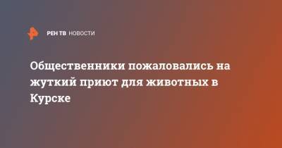 Общественники пожаловались на жуткий приют для животных в Курске - ren.tv - Курск