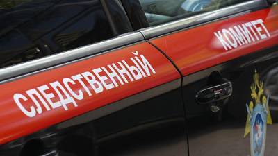 СК начал проверку после смерти мужчины в квартире на северо-востоке Москвы - iz.ru - Москва - Юлия Иванова