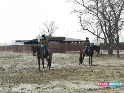Судьба Ростовского ипподрома зависла в воздухе - privet-rostov.ru - Русь