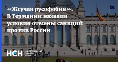 Жозеп Боррель - Александр Рар - «Жгучая русофобия». В Германии назвали условия отмены санкций против России - nsn.fm