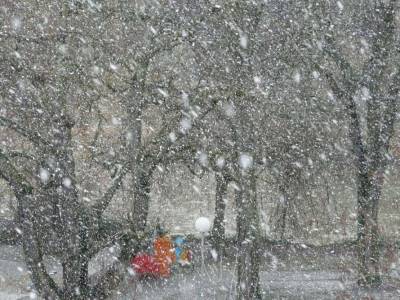 На Киев надвигаются сильные снегопады и метели - lenta.ua - Киев