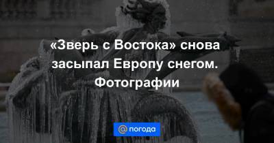 «Зверь с Востока» снова засыпал Европу снегом. Фотографии - news.mail.ru - Англия - Бельгия - Шотландия - Голландия