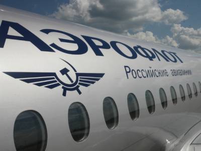 Никита Могутин - Авиакомпания «Аэрофлот» вновь оказалась в центре скандала с перевозкой животных - rosbalt.ru - Москва - Стамбул