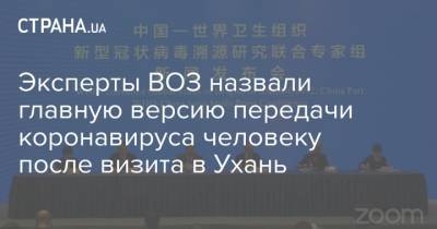 Эксперты ВОЗ назвали главную версию передачи коронавируса человеку после визита в Ухань - strana.ua - Ухань