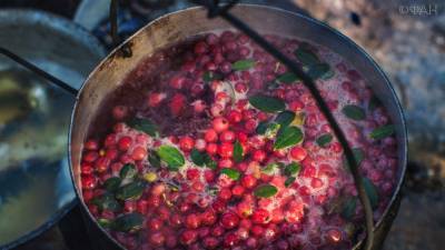 Томские дикоросы стремительно выходят на внешний рынок - riafan.ru - Томск