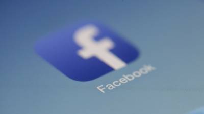Facebook посчитала фотографии коров в тумане непристойным контентом - nation-news.ru - Англия