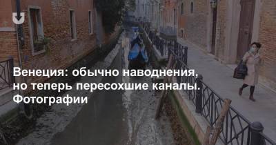 Венеция: обычно наводнения, но теперь пересохшие каналы. Фотографии - news.tut.by