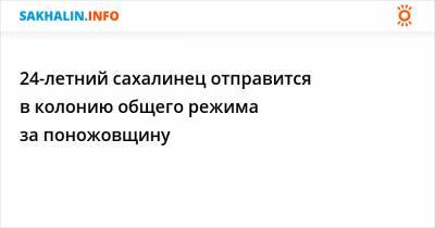 24-летний сахалинец отправится в колонию общего режима за поножовщину - sakhalin.info - район Поронайский